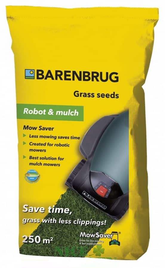 Баренбруг Ультра Низкорослый