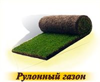 Рулонный газон