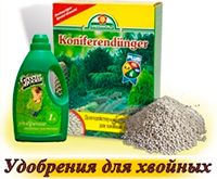 Удобрения для хвойных